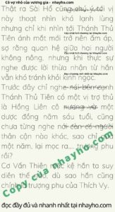 vuong-phi-thien-tai-tieu-bao-boi-cua-vuong-gia-180-0