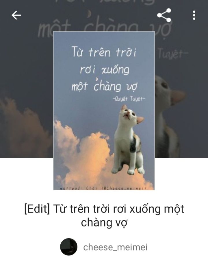 tu-tren-troi-roi-xuong-mot-chang-vo-20-0